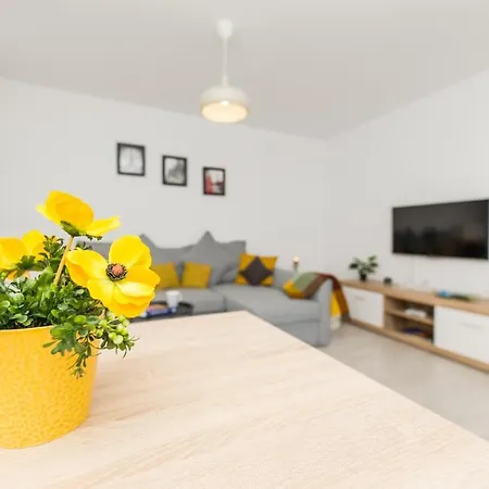 Sofia Studio * Brasov